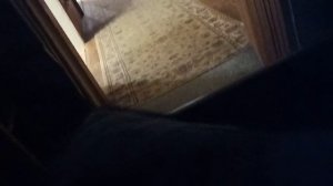 5 ночей с Максимом 1 ночь