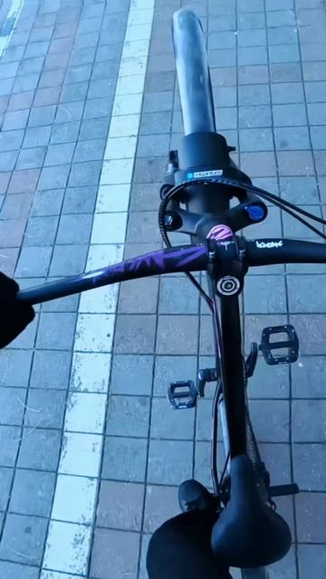 Танцы на велосипеде. Зимний стант на заднем!