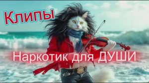 ТРОПИНКОЙ НЕЖНОСТИ -  Клипы  - Наркотик для ДУШИ ТОП -10 Music Videos #русские_песни #музыка #music