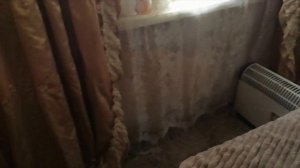 К нам прилетел дятел!