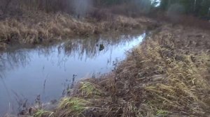 Поздний октябрь. #13