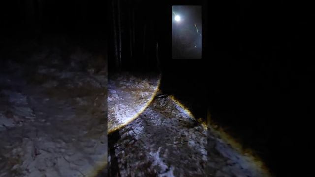 Отвод и таксация лесосек. ИП ИЛЬИНЫХ.