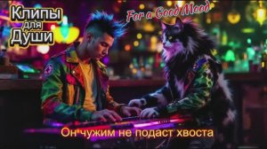ЧУЖИМ ОН НЕ ПОДАСТ ХВОСТА -  Клипы для Души ТОП - 10  Music Videos #русские_песни #музыка #music
