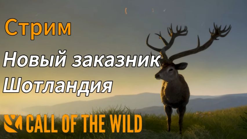 Новый заказник Шотландия в theHunter: Call of the Wild смотреть онлайн
