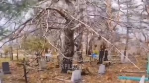 Хохол на кладбище выбрал место для погребения.