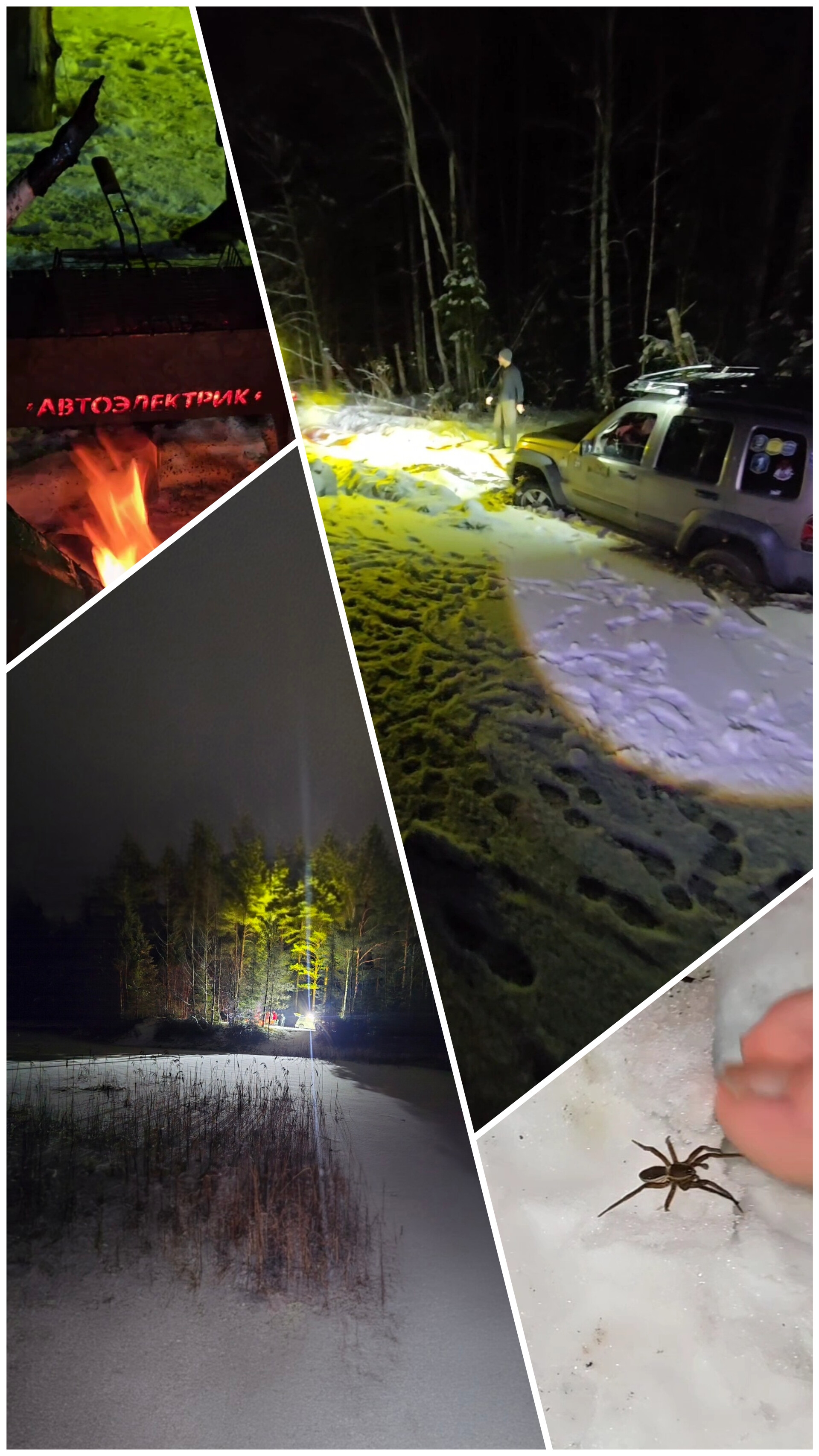 Ночная вылазка до озера в лесу смотреть онлайн