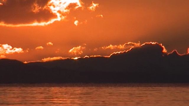 Старый Лис. "Блаженное неведение"