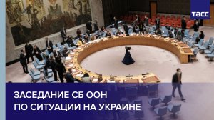 Заседание СБ ООН по ситуации на Украине