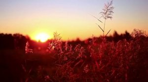 «Бога не видно, но я его вижу» стихотворение Дмитрия Кравченко