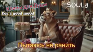 ПЫТАЮСЬ НЕ РАНИТЬ  -  КЛИПЫ для ДУШИ - TOP MUSIC VIDEOS #русские_песни #музыка #music #песнидлядуши