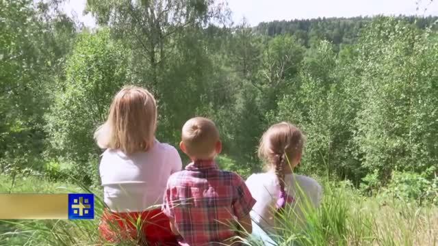 Закатать в асфальт: Как исчезают подмосковные заказники 08.09.2018