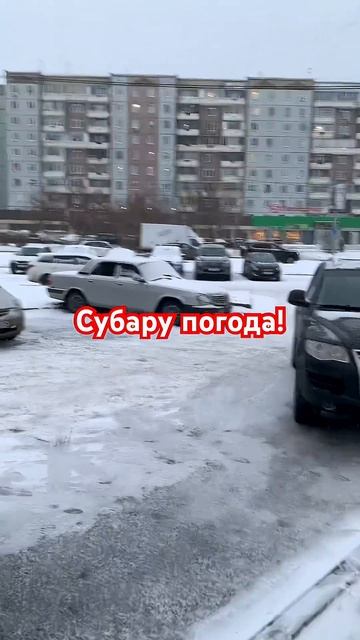 Дневник субариста 24.11.25 первый снег #subaruadventureon #subaru #impreza