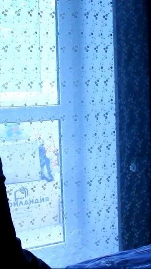 О НЕТ! КОТ ПРОПАЛ!  #oiia #oiiaoiiacat #oiiaoiia