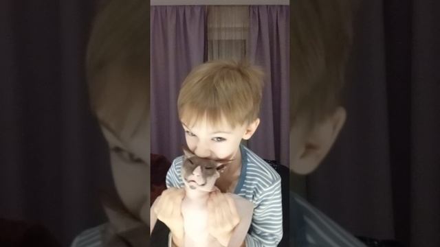 я бешу кошку