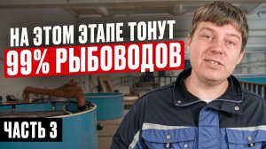 Строю САМУЮ БОЛЬШУЮ УЗВ-ферму в Туле с нуля! Вся правда про стройку, оборудование, икру и ошибки