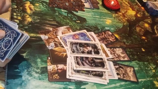 Кому кормушку поменяли на Карму 💫🫣❓⚖️🪞 смотреть онлайн