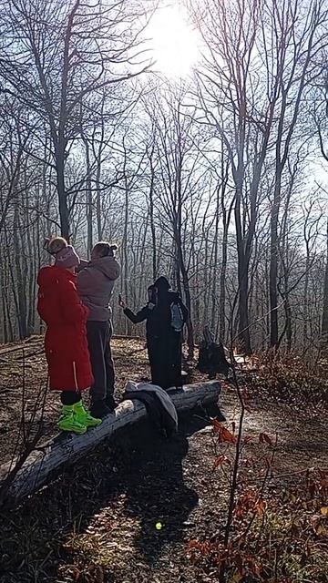 Лесопарк Сапицкая будка