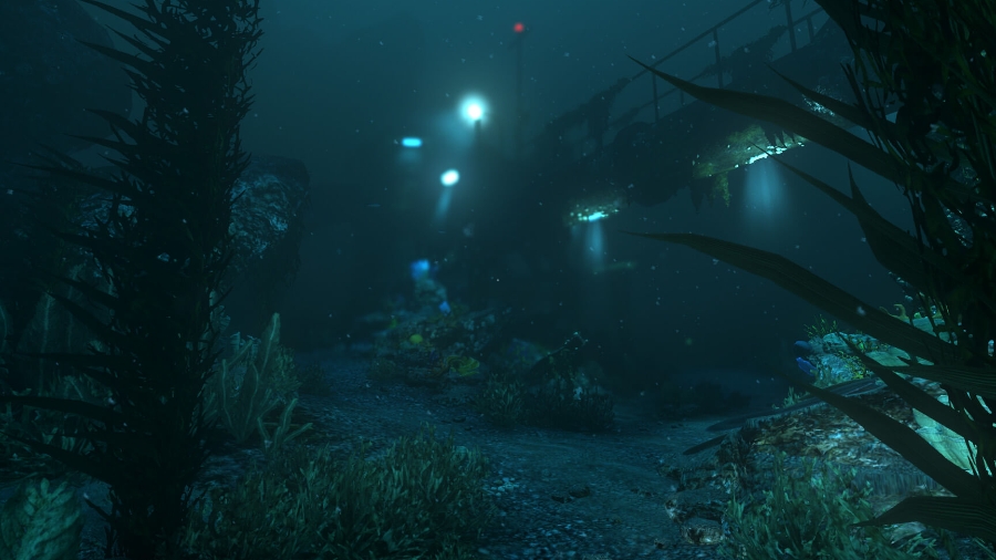 SOMA