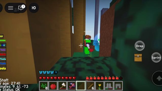 играю в Майнкрафт в роблоксе 1 часть