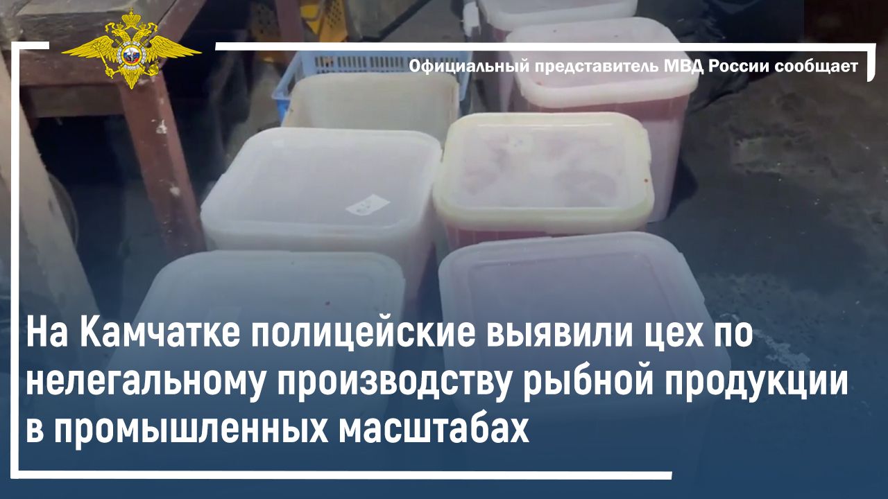 На Камчатке полицейские выявили цех по нелегальному производству рыбной продукции смотреть онлайн