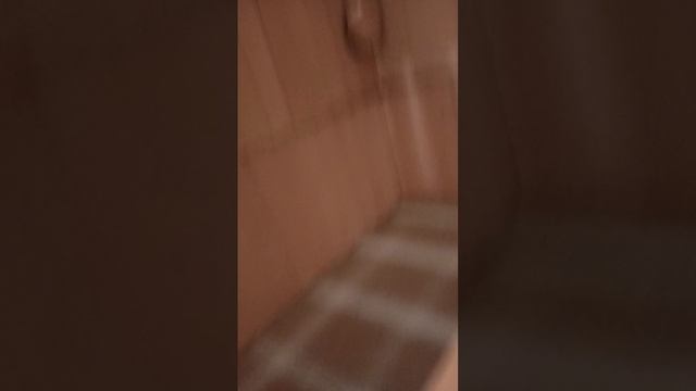 стройка бани и летней кухни