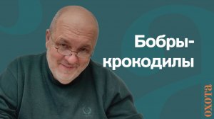 Бобры-крокодилы. Валерий Кузенков о странном случае