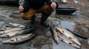 Второй день рыбалки на первый лёд! Ловим и бегаем по воде на льду в сильный дождь. Отличный клёв!