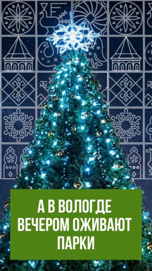 Вечером парки Вологды оживают!