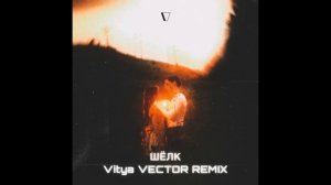 Ваня Дмитриенко - Шёлк (Vitya VECTOR REMIX) (2025) #slaphouse #house #music #newremix