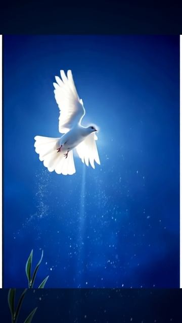 Футаж. Небо. Голубь. смотреть онлайн