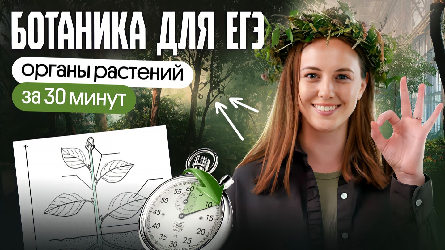 ВЕГЕТАТИВНЫЕ ОРГАНЫ РАСТЕНИЙ ЗА 1 УРОК смотреть онлайн