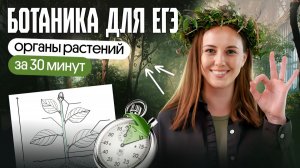 ВЕГЕТАТИВНЫЕ ОРГАНЫ РАСТЕНИЙ ЗА 1 УРОК