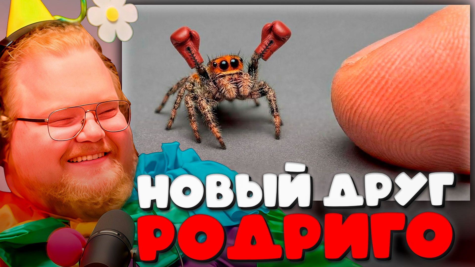 T2x2 СМОТРИТ ► Я ПОДРУЖИЛСЯ С САМЫМ УМНЫМ ПАУКОМ В МИРЕ смотреть онлайн