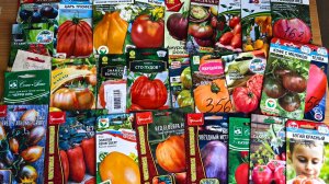 Обзор Томатов 2026 Выбираем Вместе Томаты к сезону 2026