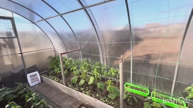 Что там в теплице// 💁❤️архив смотреть онлайн