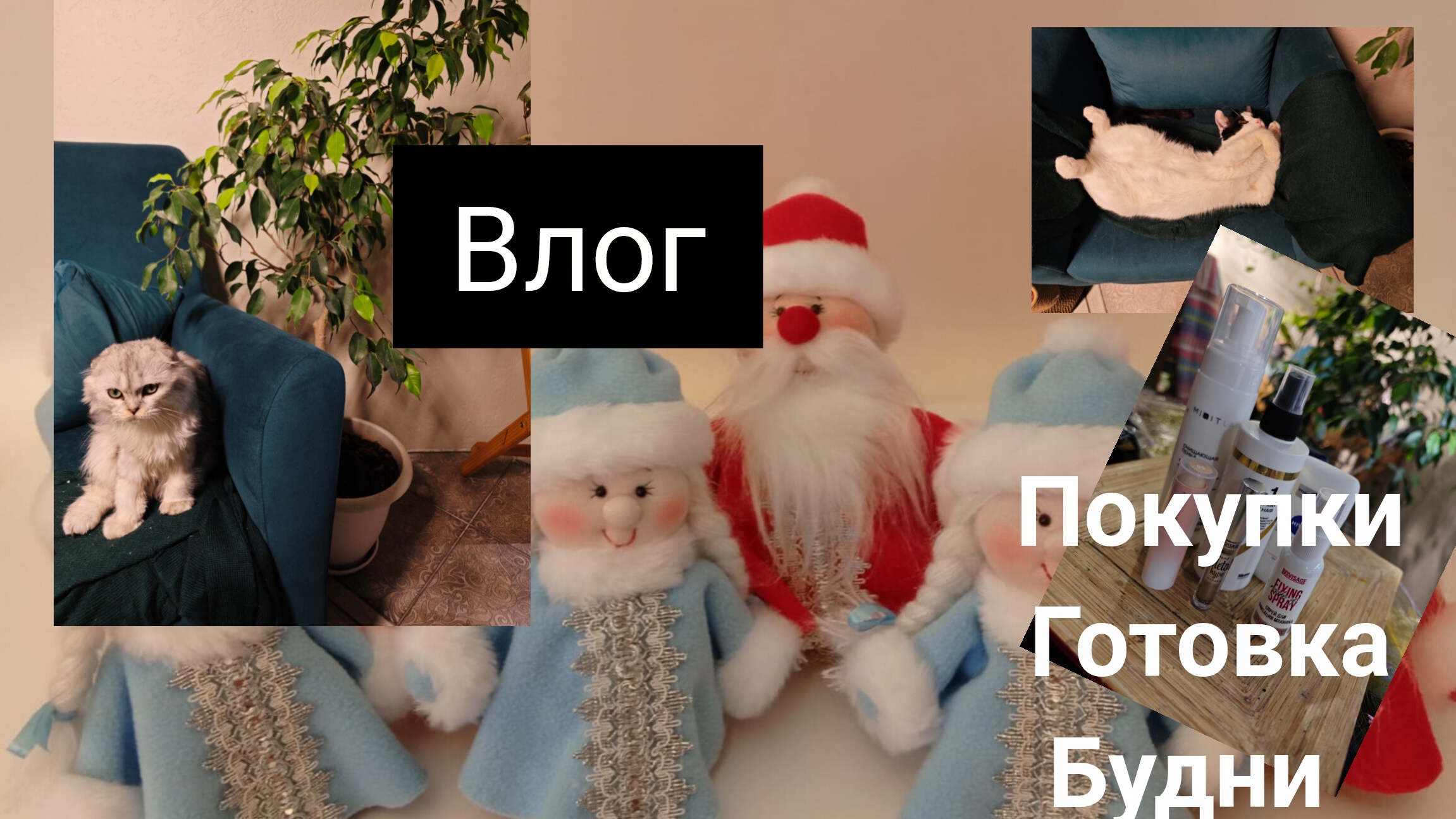 влог// покупки/ смотреть онлайн