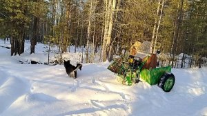 Поездка в лес на одноколёсном снегоходе