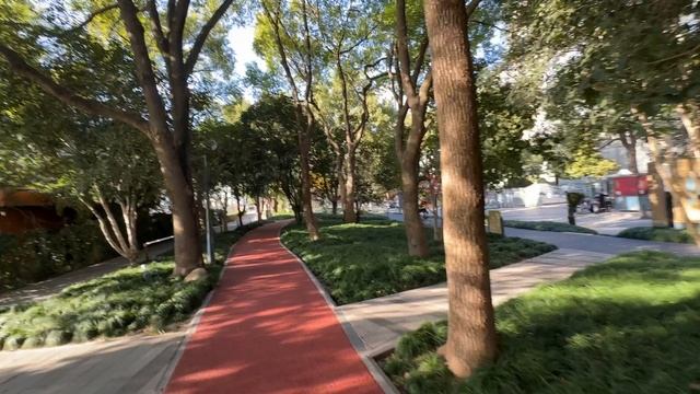 ВОСХИТИТЕЛЬНАЯ ПРИРОДА В КИТАЕ В ДЕКАБРЕ ВЫ ТОЛЬКО ПОСМОТРИТЕ