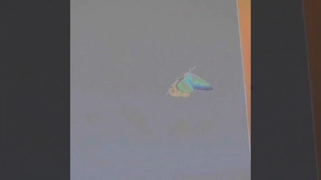 Эдит Миг за Мигом смотреть онлайн