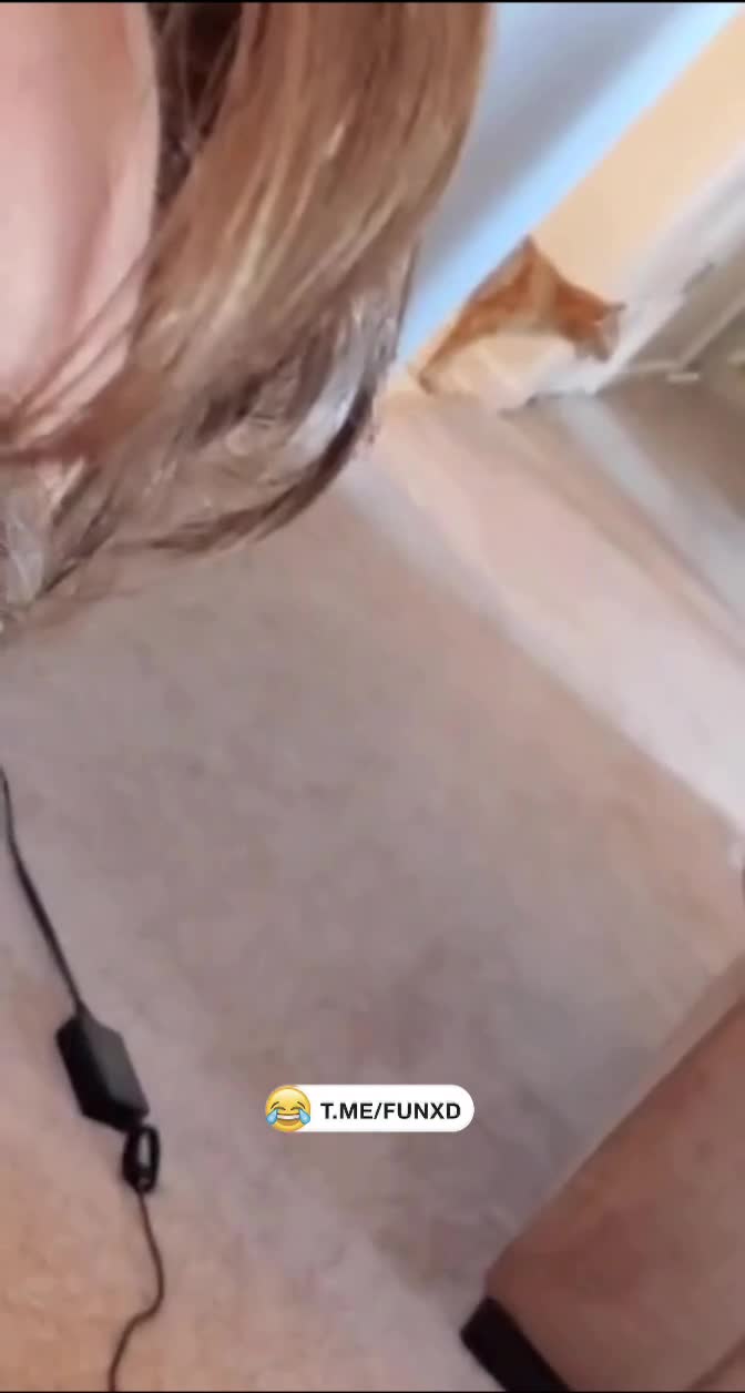 Всё еще хотите себе кота?😅 смотреть онлайн