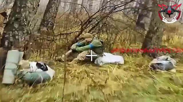 залетел на огонек.Свин под чем то что ли сидит? смотреть онлайн