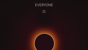 Коты воители / Сол / Мем /