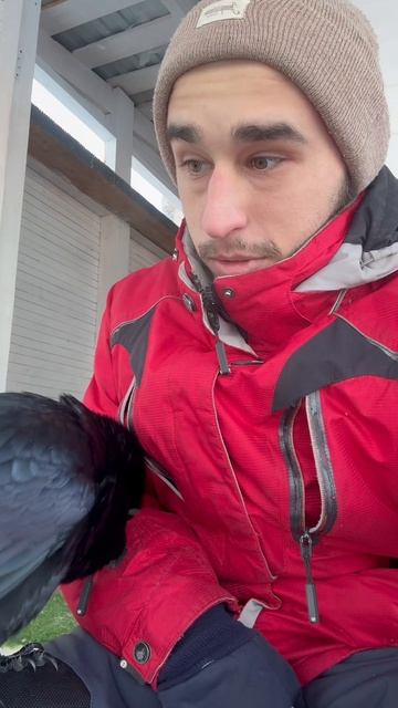 Подробней тут: смотреть онлайн