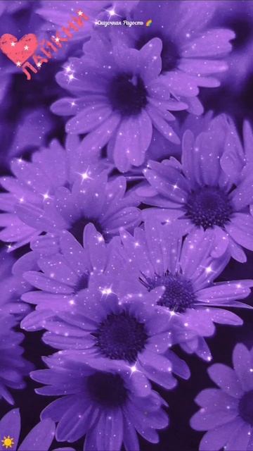 #доброеутро #волшебство #добрыхчудес #легкостивовсем #2025год #ёлка #сиреневая смотреть онлайн