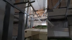 Семенная линия в Воронежской области