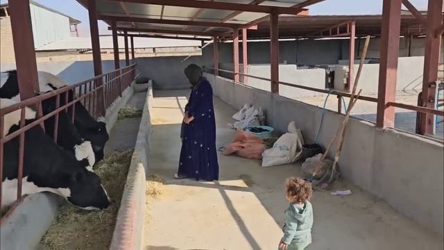 Третий день с момента исчезновения Азаде и Сами. Обращение в полицию. смотреть онлайн