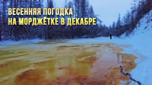 Весенняя погодка на Морджётке в декабре. Сусуман. Колыма