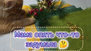 Денежная Ёлка из ткани своими руками. Мастер класс доступный и позитивный (кот в помощь) diy