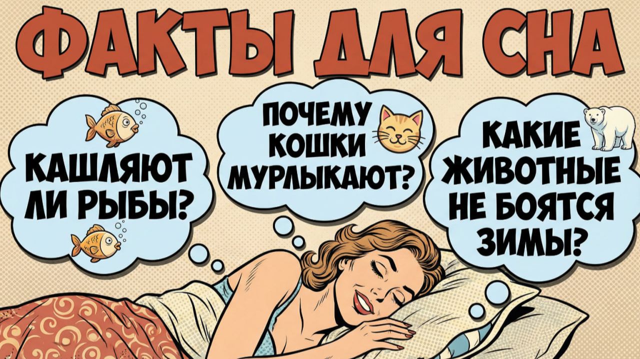 БЫСТРО УСНУТЬ — Ответы на вопросы, которые приходят перед сном смотреть онлайн