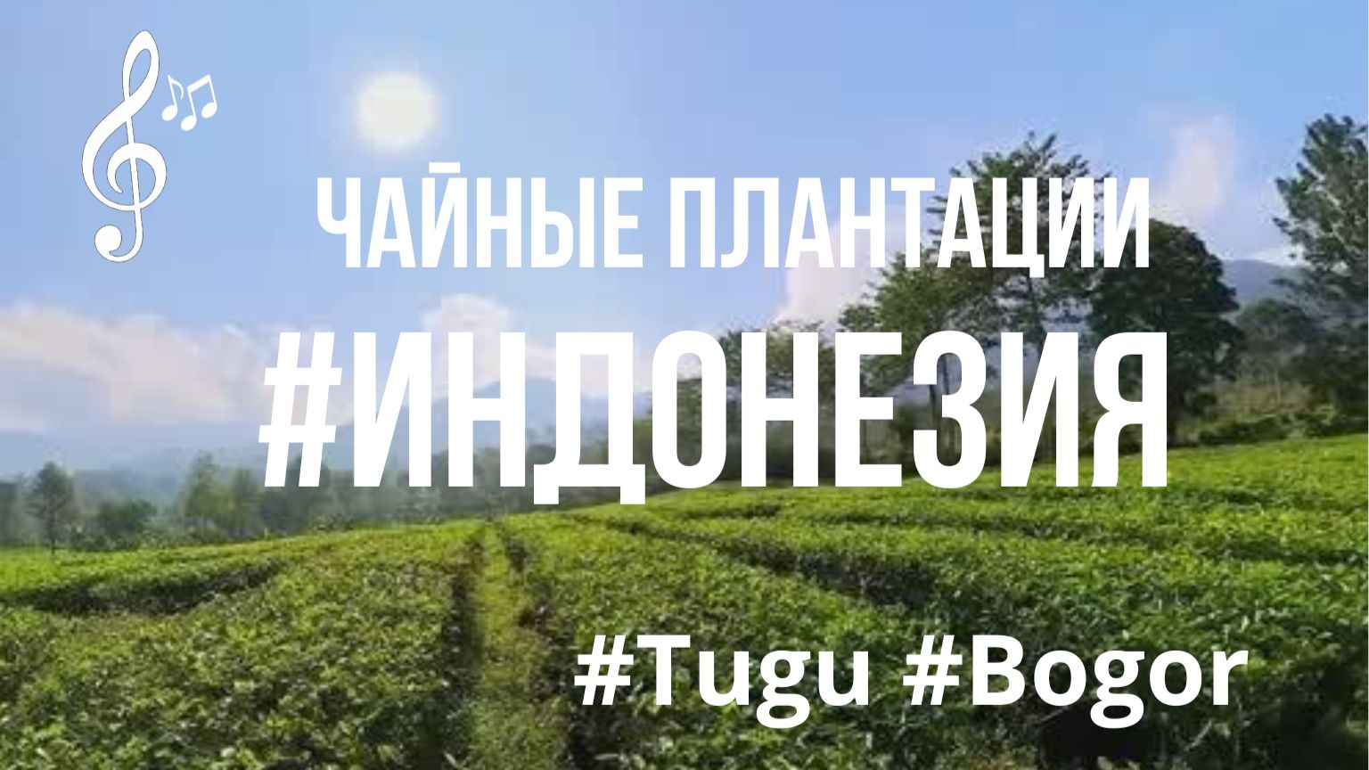 Видео для бега на беговой дорожке с музыкой | Virtual Run Tugu #Tugu #Bogor #Индонезия смотреть онлайн